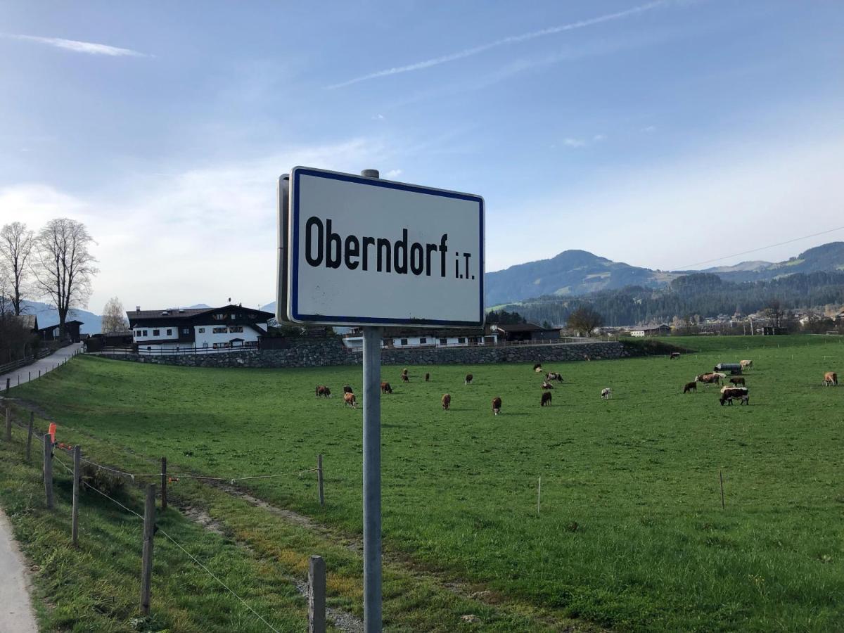 Landhaus Ammer Oberndorf in Tirol Eksteriør billede